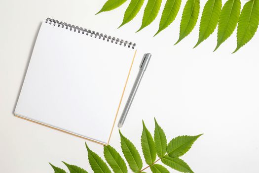 White paper blank and white whalnut leaf on gray background. Flat lay, top view, copy space.