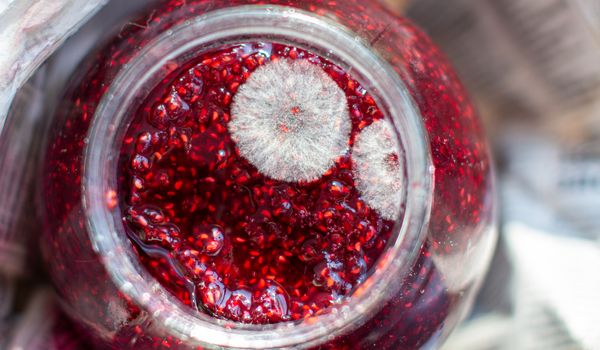 Mold in a jar of raspberry jam. Hazardous to health. Mold. High quality photo