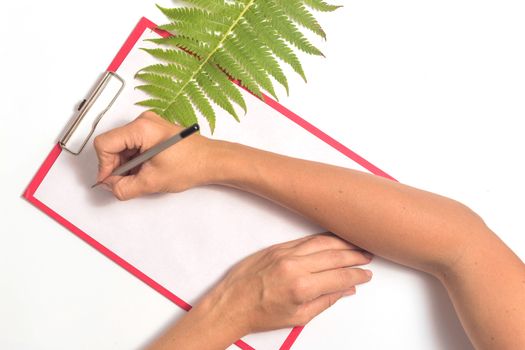 Female hands are writing on a white sheet of paper. White paper blank and fern leaf on gray background. Flat lay, top view, copy space.