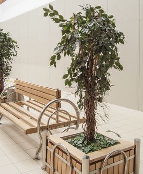 Artificial green plant in large wooden planters for home decoration and office without a treatment, the interior of the rest area of the shopping center.