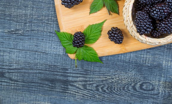 ripe blackberry with leaves on a wooden cutting board in a white ceramic bowl on dark blue wooden background. top view, place for text,