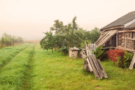 Rural landscape on a early foggy morning in the village