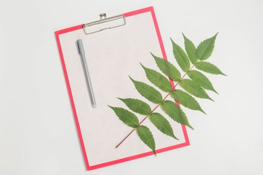 White paper blank and white whalnut leaf on gray background. Flat lay, top view, copy space.