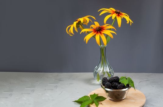 Yellow flowers of Rudbeckia. Flower of Rudbeckia fulgida, the orange coneflower or perennial coneflower. Rudbeckia hirta Maya.