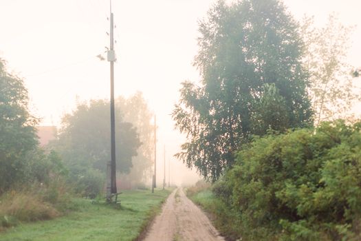 Rural landscape on a early foggy morning in the village