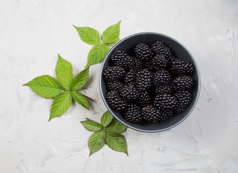 ripe blackberries with leaves in a gray bowl on a concrete background, top view