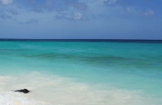 Beautiful pictures of Aruba