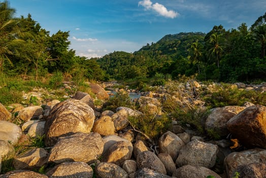 River stone and tree colorful, View water river tree, Stone river in multi color tree leaf in forest