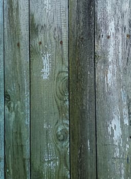 Green wood texture background. .Old ragged painted fence
