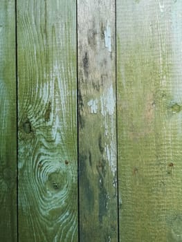 Green wood texture background. .Old ragged painted fence