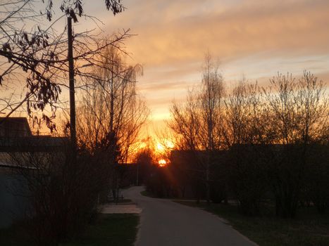 Sunset in the village. The sun went down low, the silhouettes of houses and trees appeared.