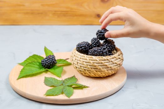 Child's hand takes a blackberry from a wicker bowl on a gray concrete background