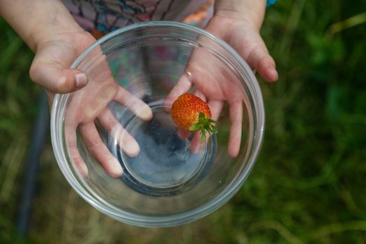 Little Girl Holding plate with Strawberries. Gardening and agriculture concept. Vegan vegetarian home grown food production.