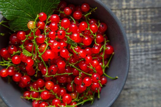 red currant berries in a ceramic bowl on a rustic wooden background. close up and selective focus