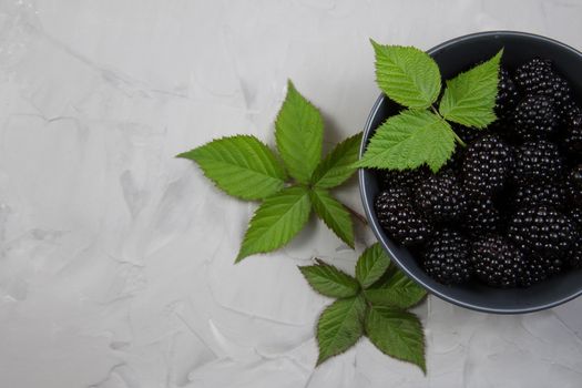 Ripe sweet blackberry in gray ceramic bowl on gray concrete background.