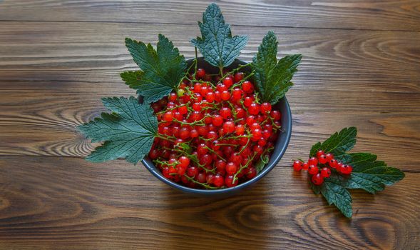 red currant berries in a ceramic bowl on a rustic wooden background. close up and selective focus