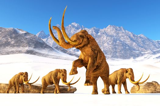 A herd of Columbian Mammoths navigate their way through a mountain range to get to a warmer climate.