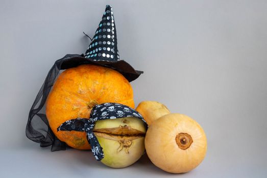 The Concept Of Halloween. Orange pumpkin in a witch's hat, pumpkin and turnip in a pirate bandana.