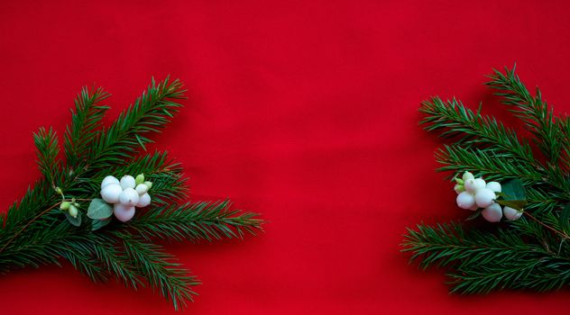 Christmas background with spruce branches and white dogwood berries on a red canvas background. Christmas card. The theme of a winter holiday. Happy New Year. Space for text.