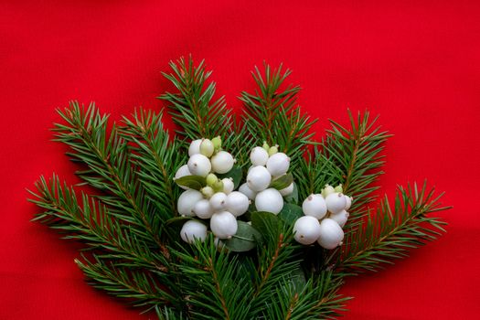 Christmas bouquet with fir branches and white dogwood berries on a red background . Christmas card. The theme of a winter holiday. Happy New Year.
