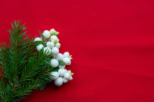 Christmas bouquet with fir branches and white dogwood berries on a red background . Christmas card. The theme of a winter holiday. Happy New Year.