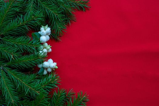 Christmas background with spruce branches and white dogwood berries on a red canvas background. Christmas card. The theme of a winter holiday. Happy New Year. Space for text.