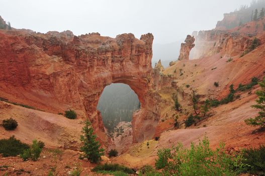 Natural Bridge in Bryce Canyon National Park in Utah, USA