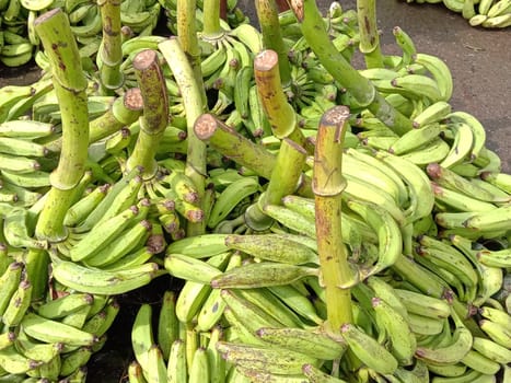 tasty and healthy raw banana bunch stock on market