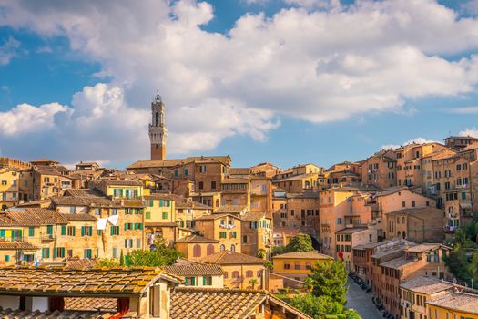 Downtown Siena skyline in Italy with morning blue sky