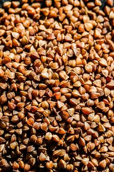 Buckwheat grain closeup, food texture and cook book backgrounds