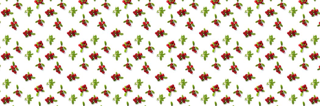 Lingonberry background on white backdrop. Fresh cowberries or cranberries with leaves as autumn or christmas background