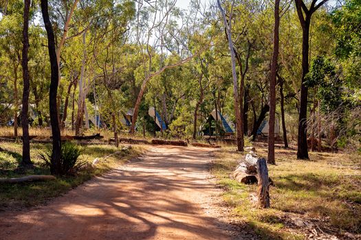 A dirt road through an Australian bush tourist park with permanent tents available for guest use. Volcanic national park.