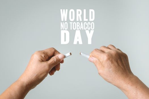 Quit smoking, no tobacco day, mother hands breaking the cigarette