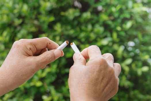 Quit smoking, no tobacco day, mother hands breaking the cigarette