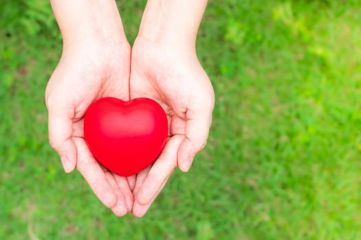 woman holding red heart on hand, Blood donation concept