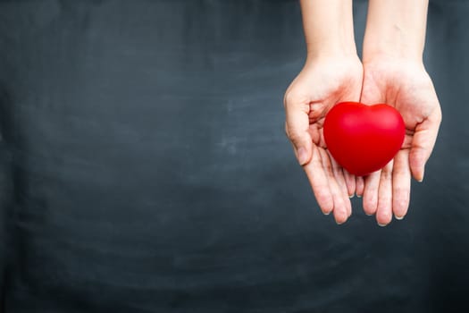 World heart day concept of young woman hand holding red heart