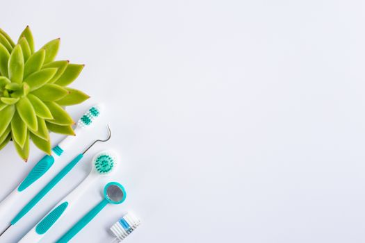 Dental equipment over white surface with green plant in soft focus