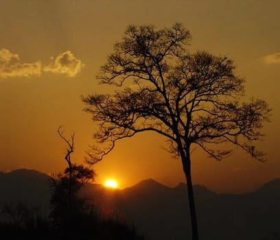 Beautiful pictures of  Cameroon