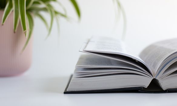 Open book, home plant in soft focus on white background. Stay at home, freelance, learning from home concept. Self care, time away from technology, finding quiet place with book.