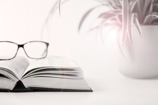 Open book, glasses, home plant in soft focus with a flare light on white background. Learning from home. Self care, time away from technology, finding quiet place.