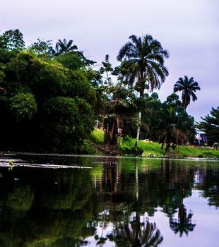 Beautiful pictures of  Cameroon
