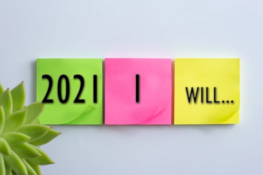Home plant in soft focus, different colour of sticky notes with sign 2021 I Will.... on white background