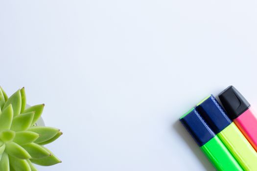 Colored highlighters set and home plant succulent in soft focus on white background. Back to school, office, business, home office