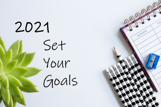 weekly organizer planner, sharp pencil surrounded by dull pencils and words 2021 Set Your Goals and home plant soft focus, on white background.