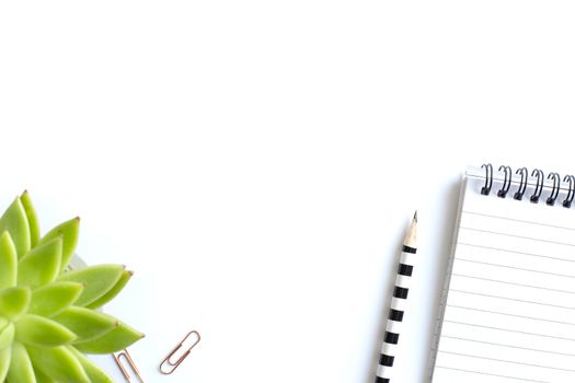 Notepad with spiral, pensil, clippers and home plant in soft focus on white background, Stationery flat lay. Back to school. White background. Mock up