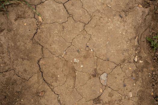 Ground texture background of brown desert soil, dusty land, dry earth, clay and sand. Climate change, global warming concept