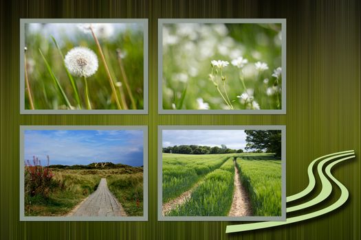 Collage of rural calm summer field landscape and summer flowers on green abstract background with icon of road going to horison