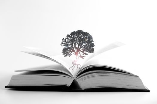 Open book and silhouette of tree with lens flare on white background. Book is power