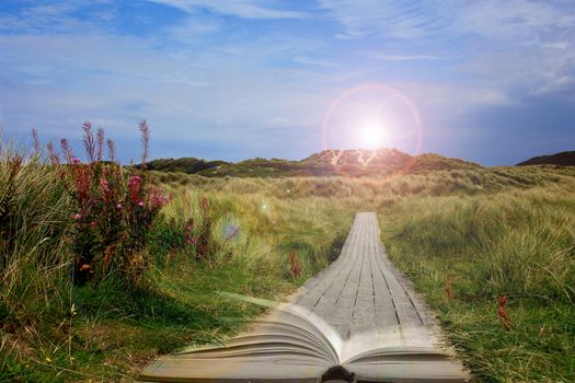 Collage of photos of green rural landscape with wooden path with light from lens flare and open book in soft focus. Book is power, source of knowledge, dream, access to wisdom concept. Road leading to the knowledge