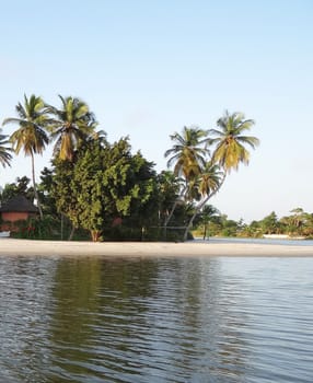 Beautiful pictures of  Cote d'Ivoire